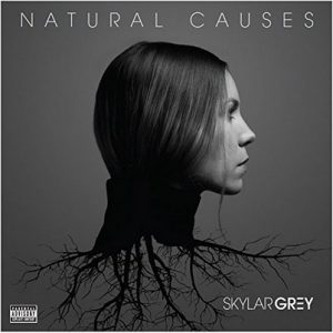 Natural Causes – Skylar Grey [320kbps]