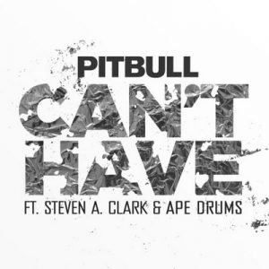 Can’t Have – Pitbull [320kbps]
