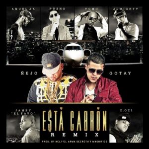 Esta cabrón (Remix) – Ñejo feat. Anuel Aa, Tomo, Pusho, Almighty, D.Ozi & Jamby “El Favo” [320kbps]