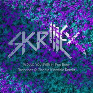 Would You Ever (Branchez & Charlie Klarsfeld Remix) – Skrillex, Poo Bear [320kbps]