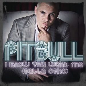 I Know You Want Me (Calle Ocho) – Pitbull [320kbps]